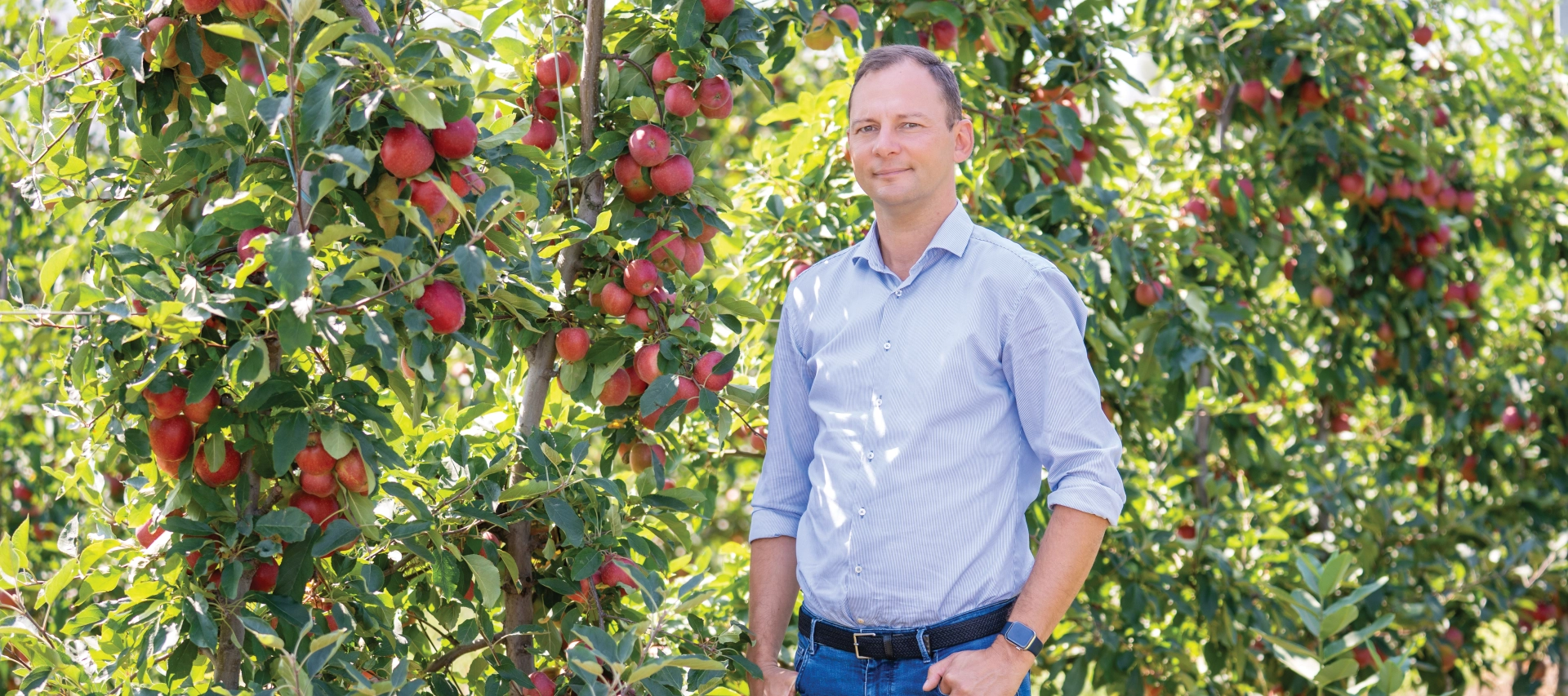 Bold Agro Mezőgazdasági Kft.